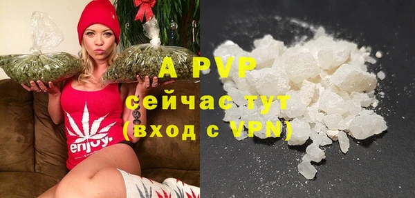 сатива Хадыженск