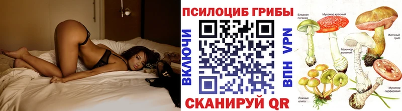 Купить закладки  Верхотурье  Галлюциногенные грибы Psilocybine cubensis 